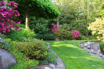 Landscaped and designed garden