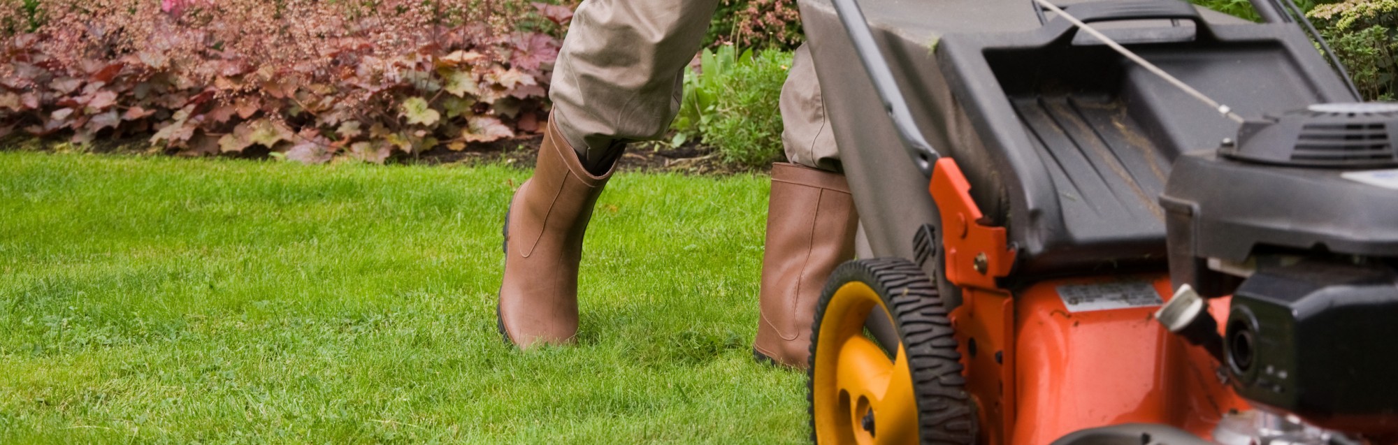 Garden Maintenance