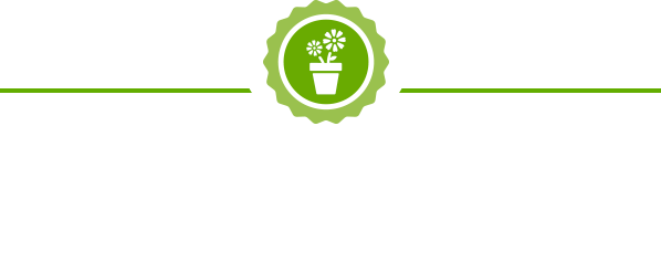 M&M Gardening Services