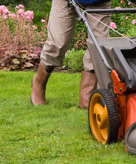 Cutting the grass